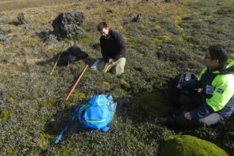 Marion Biology; Molecular Ecology Group