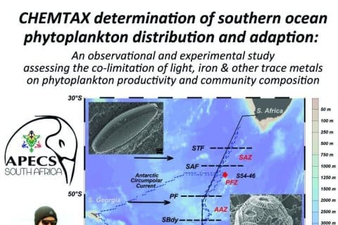 Stellenbosch University