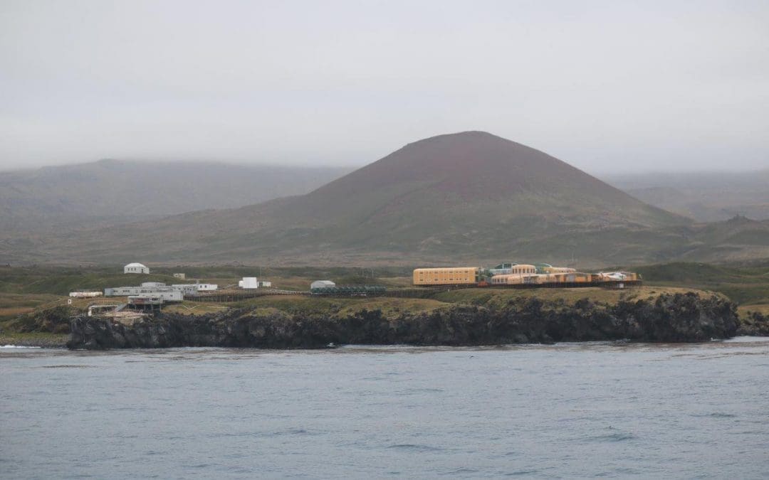 Mbulelo Dopolo visits Marion Island during 2021.