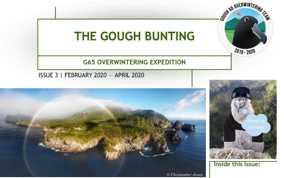 Gough Island Newsletter Issue 3 – Now available