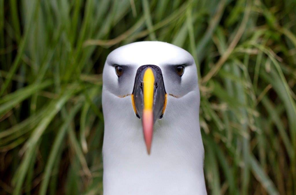 Friday Freelancer: Otto Whitehead