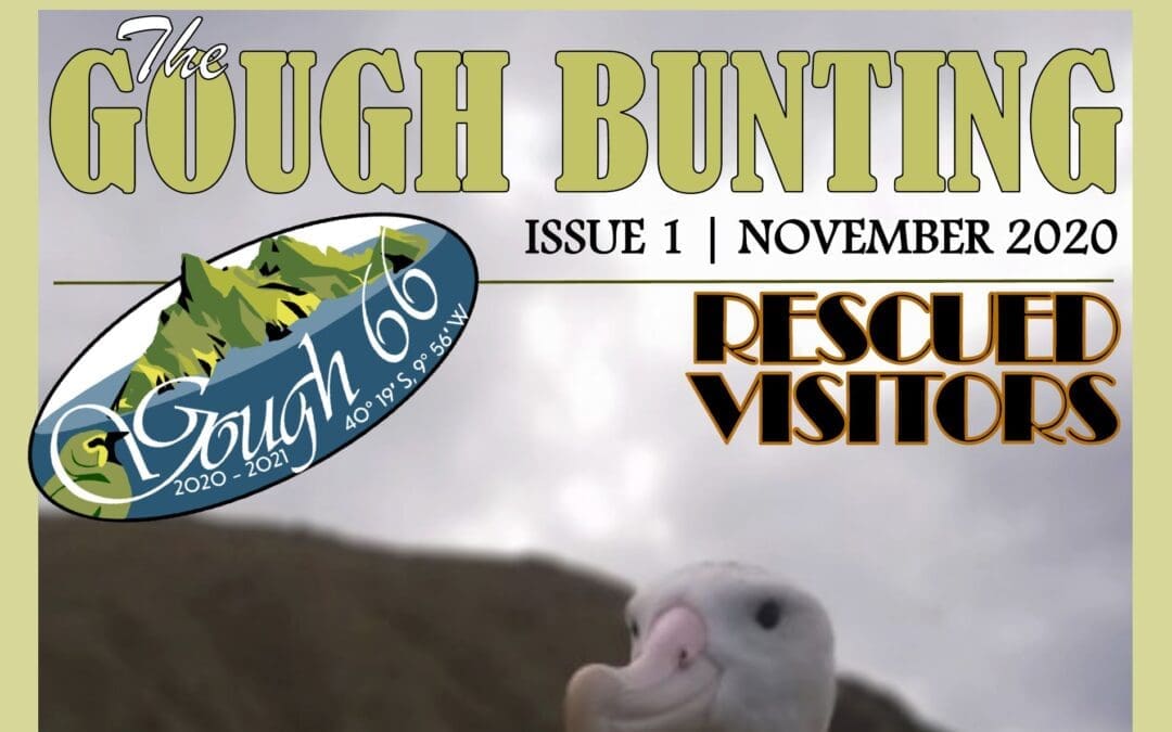 Gough Island Newsletter November 2020 – Now Available