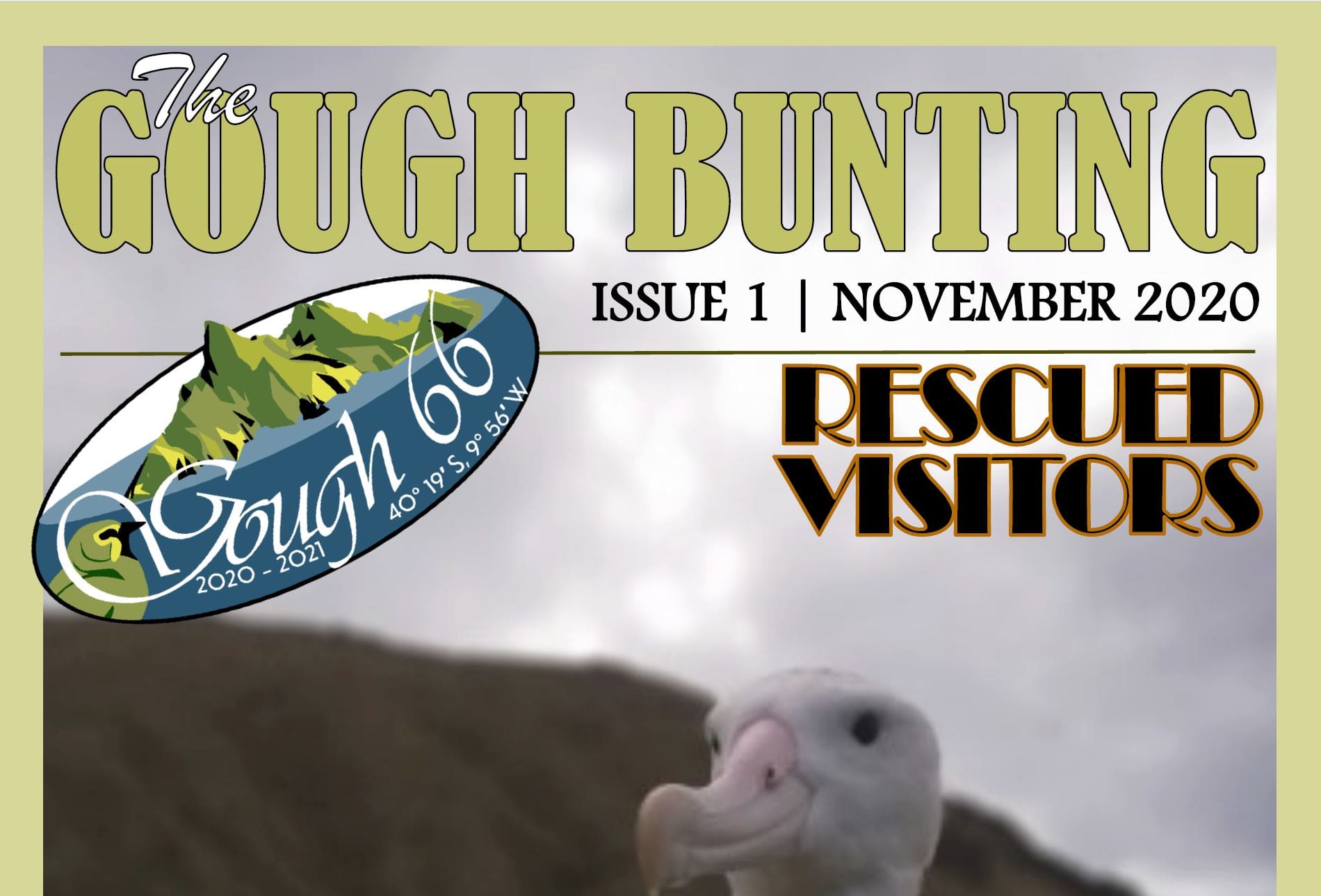 Gough Island Newsletters