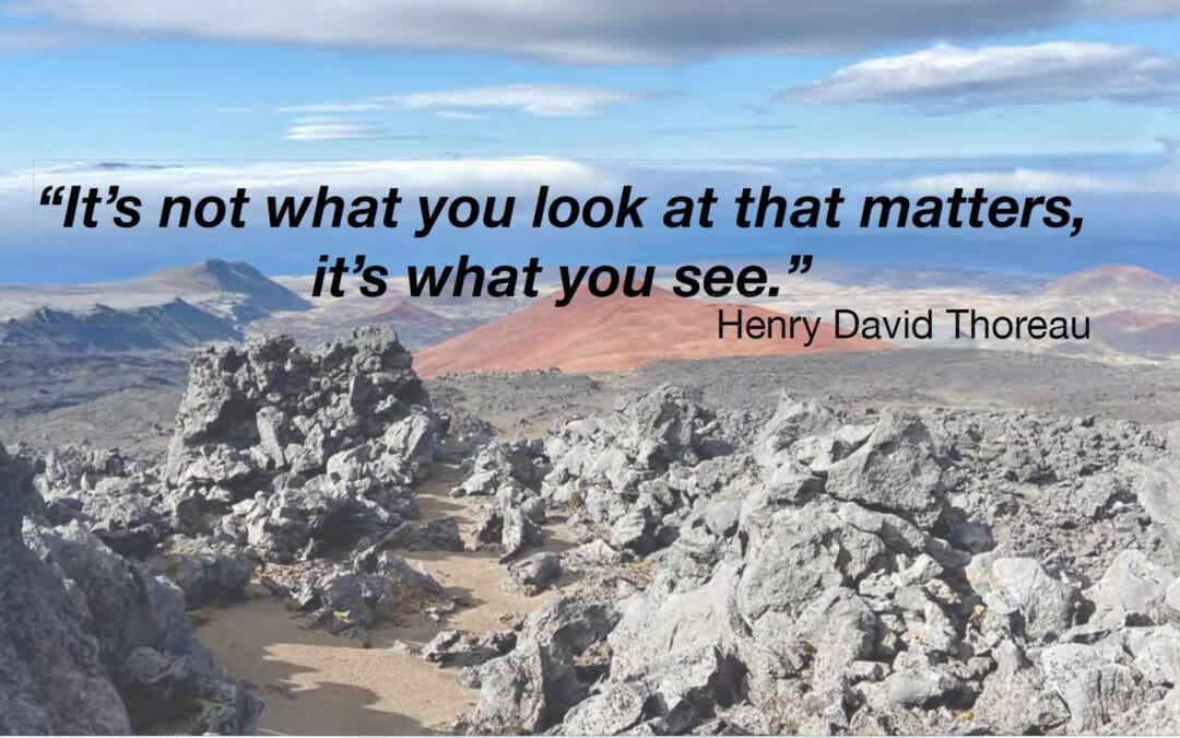 Marion Island Newsletter March 2021 – Now Available