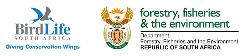 Mouse-Free Marion Project is hiring!