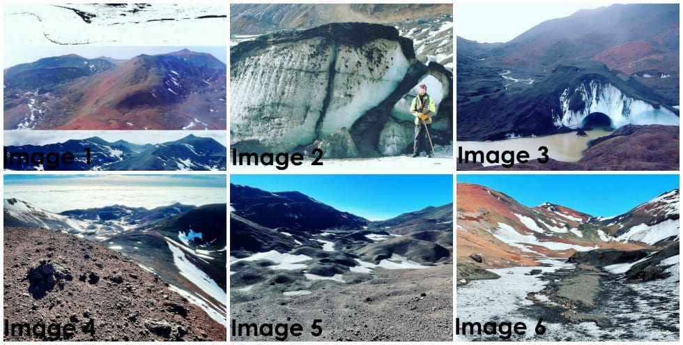 Celebrating biodiversity of Marion Island