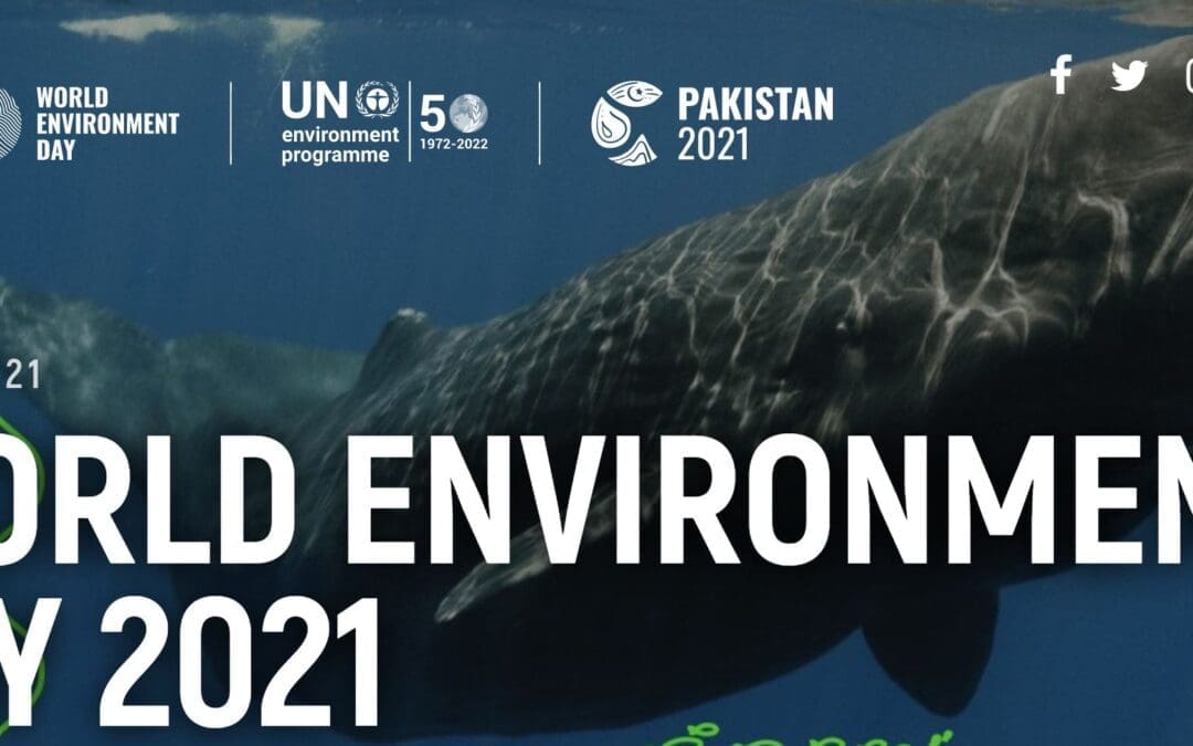 S.A. Agulhas II chartered for the world’s most challenging and successful shipwreck search