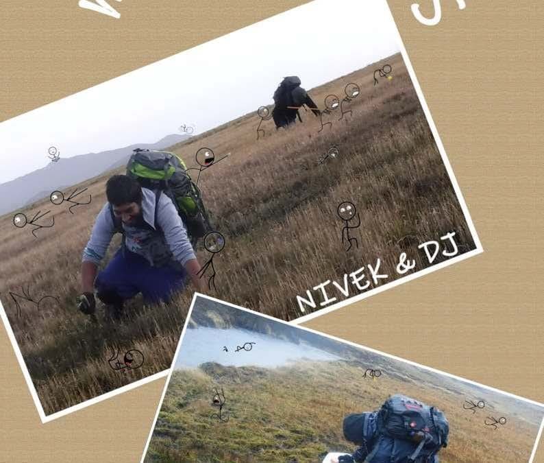 Marion Island Newsletter – August 2021 edition now available!