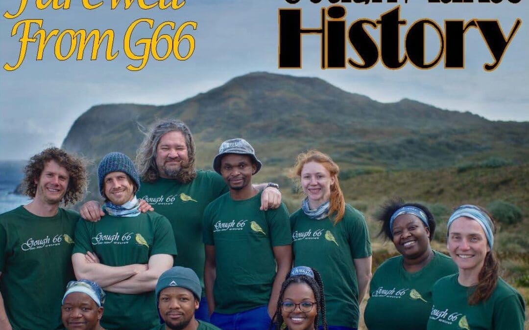 The Gough Bunting –  September 2021