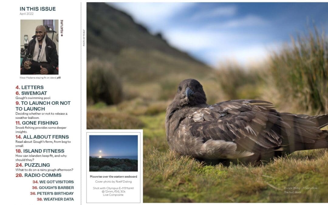 News from Gough Island – the second issue of the G67 Bunting is out!