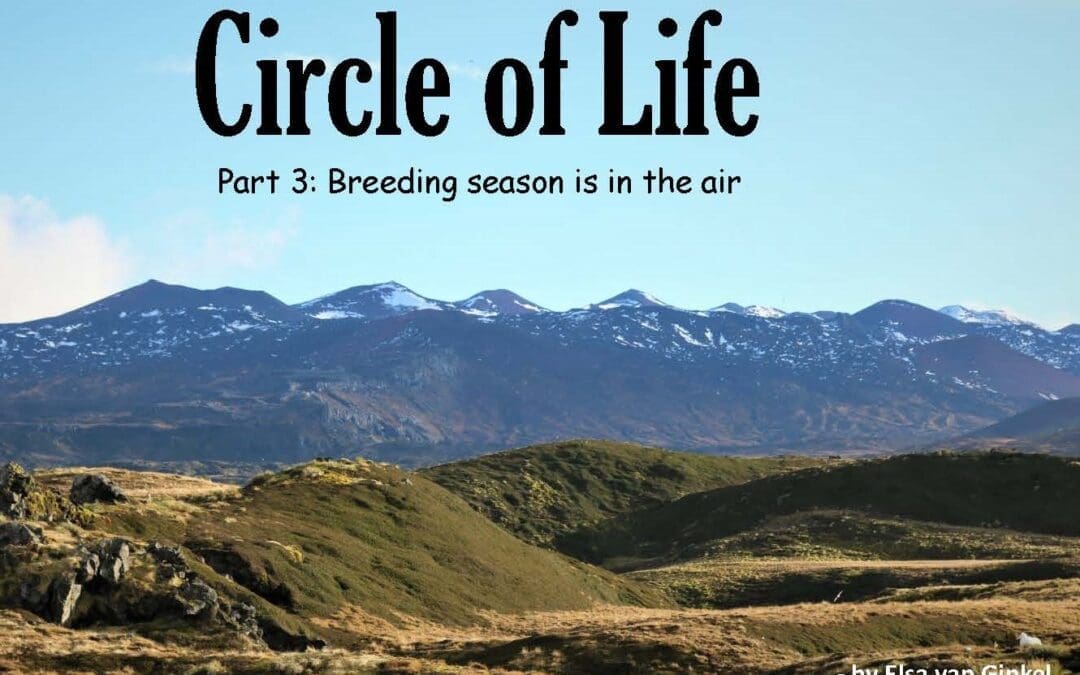 The Wanderer – August to September 2022 issue is out