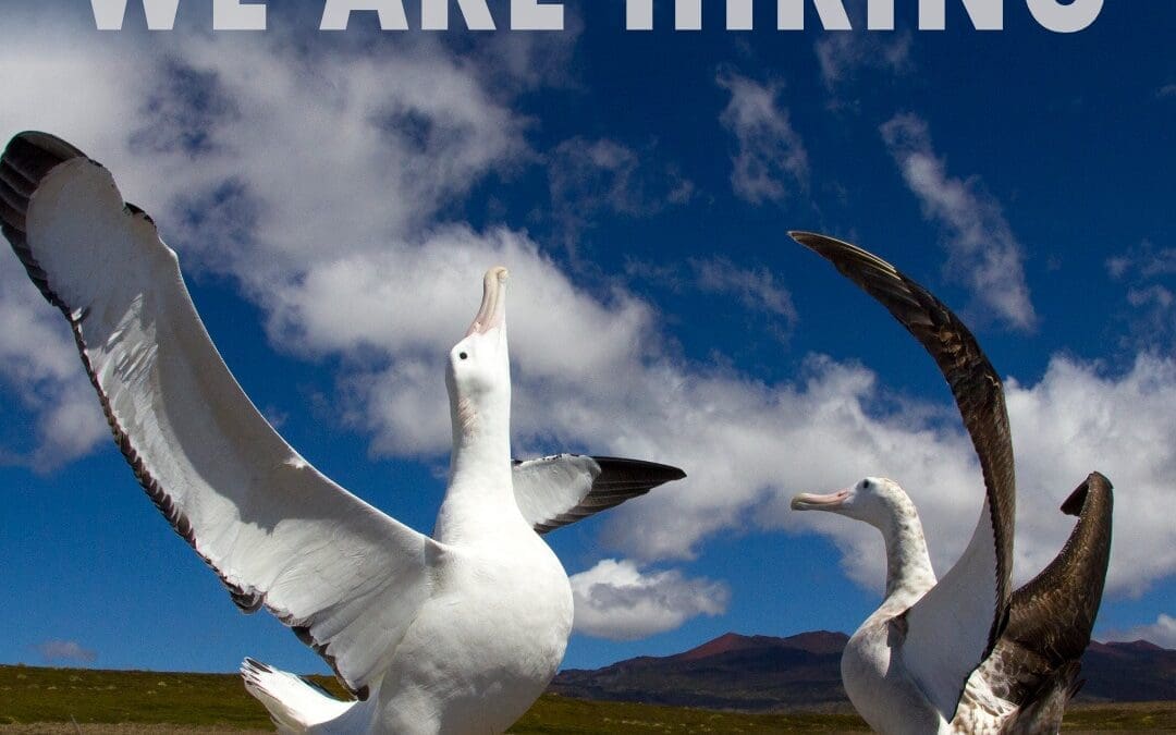 The Mouse-Free Marion Project is hiring