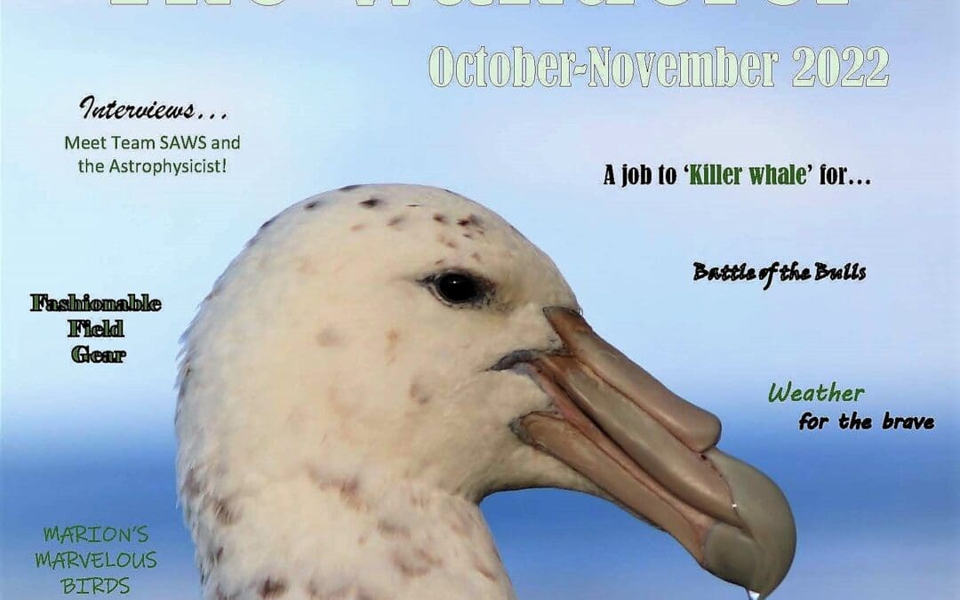 The Wanderer – October – November 2022 – Newsletter