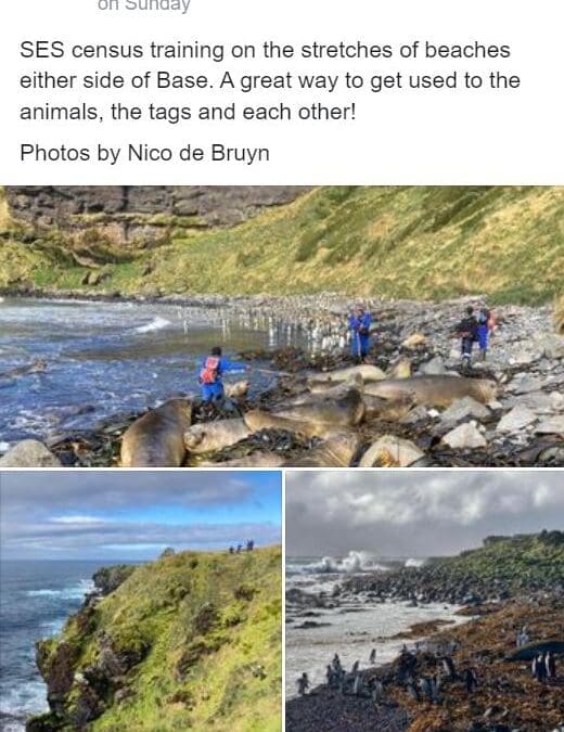 Marion Island Takeover 2023: MIMMP