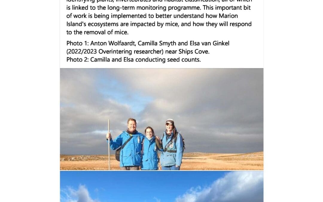 Marion Island Takeover 2023: MFM