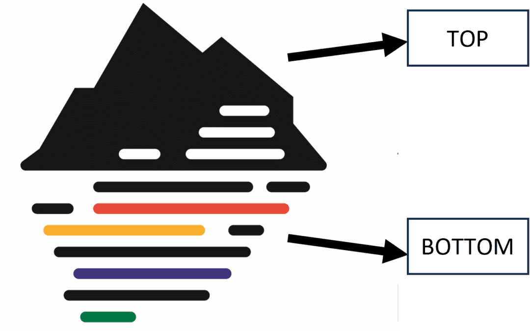 Launching the SAPRI logo