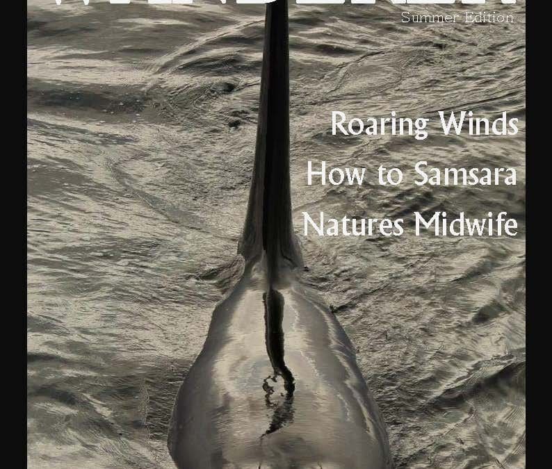 The Wanderer 2nd issue  – by Marion 80 now available online!