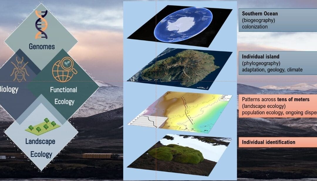 6 SANAP symposium Reflections: Ecosystems part 1