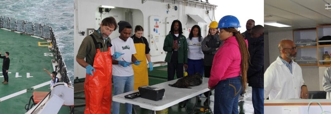 SANAP Research Projects: SEAMester – Feedback 2021-2023