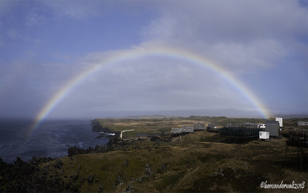 World Environment Day – Marion Island