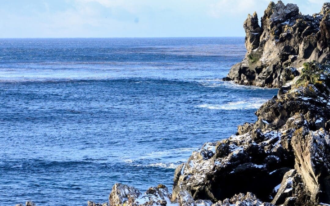 Protecting Our Ocean Treasures: Celebrating Marine Protected Areas Day