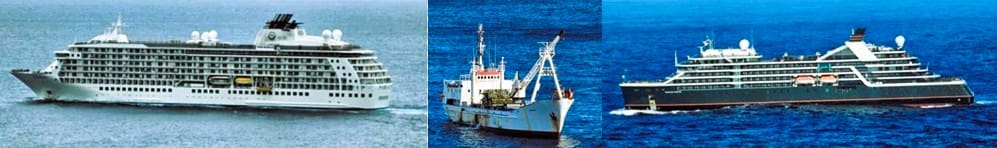 Gough Bunting – Gough 69 newsletter now available.