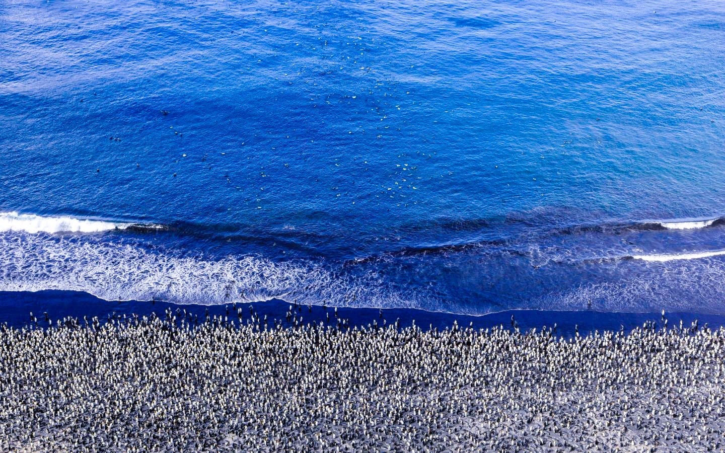 Marine Living Resources Act: Consultative Advisory Forum: Nominations invited