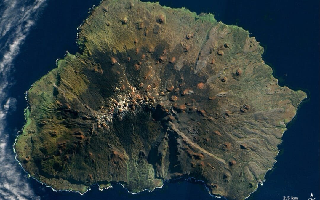 Forestry, Fisheries and the Environment on High Pathogenicity Avian Influenza suspected on sub-Antarctic Marion Island