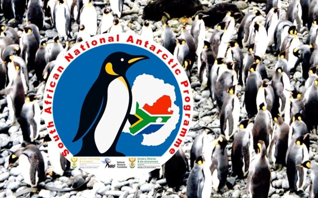 Celebrating International Penguin Day
