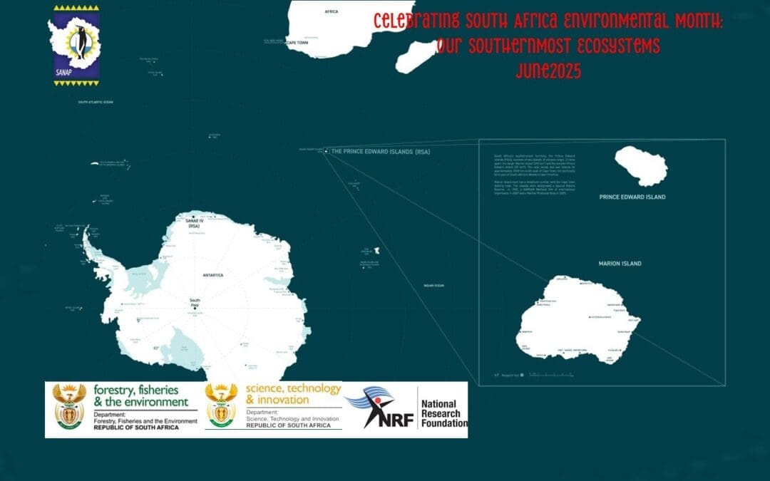 Celebrating Environment Month: Honouring Our Southernmost Ecosystems