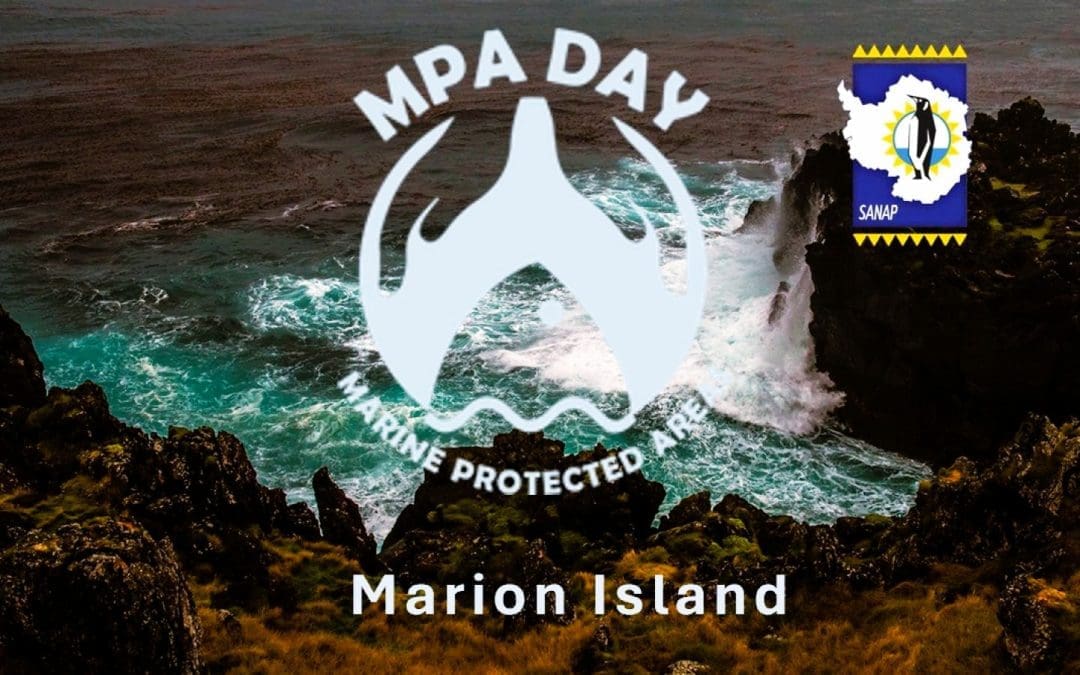 Celebrating MPA Day 2025: Ocean Protection Needs Human Connection