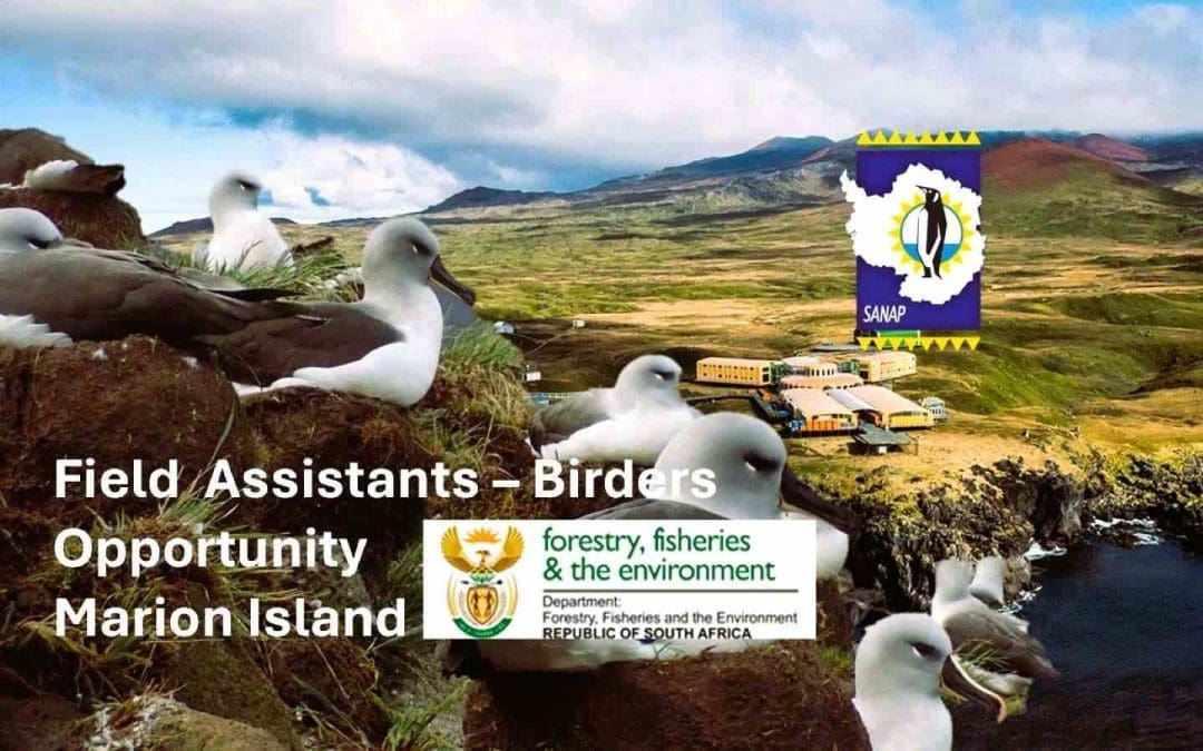 Job Opportunity: 2 X Field Birder Assistants for Marion Island 2026–2027!