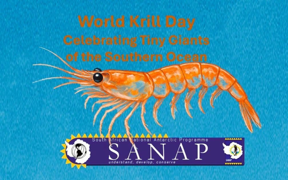 World Krill Day – Celebrating Tiny Giants of the Southern Ocean