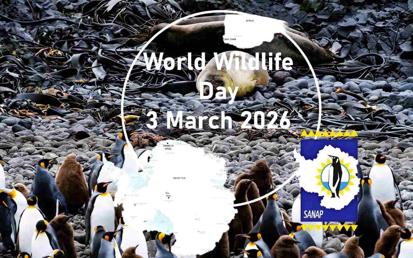 World Wildlife Day – 3 March: Celebrating and Protecting Life at the Edge of the Earth