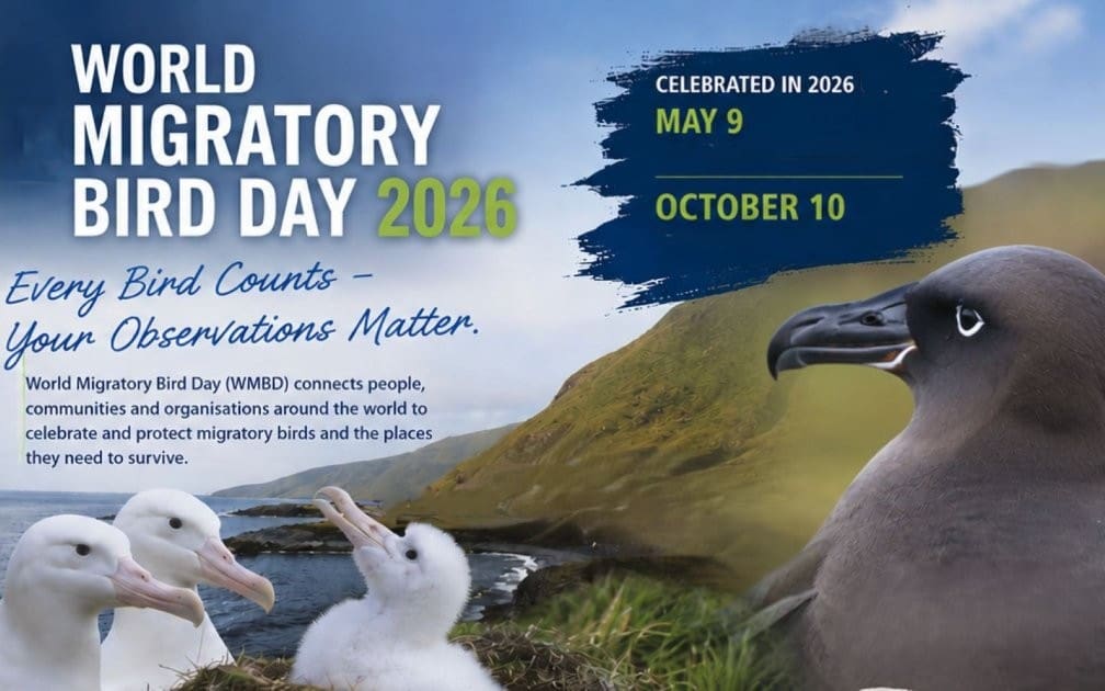 World Migratory Bird Day 2026: Every Bird Counts