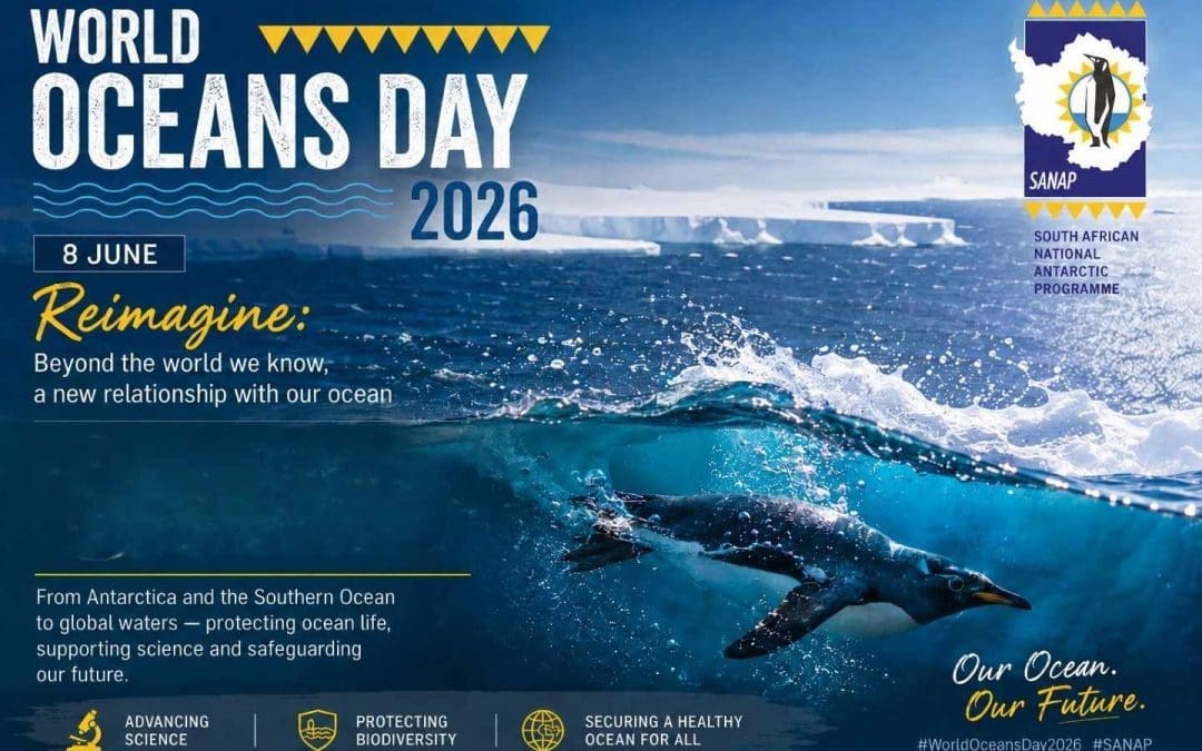 World Oceans Day 2026: The Southern Ocean’s Role in a Healthy Plane